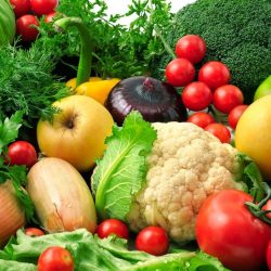 Zöldség palánták és fűszer növények